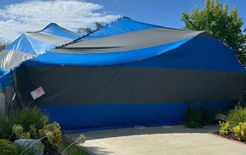 a fumigation tent